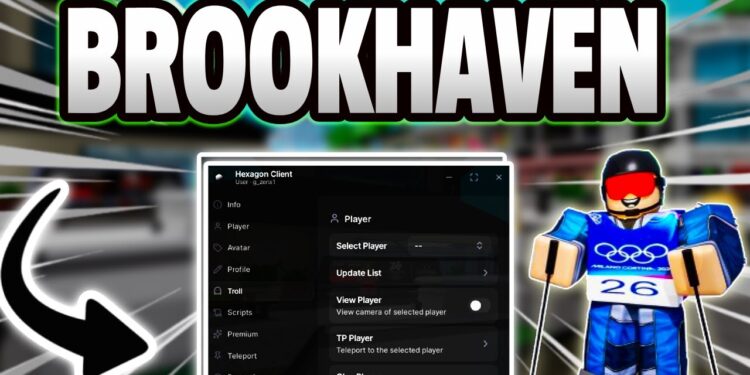 The Funniest Troll Scripts for Brookhaven RP